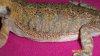 100_1082.jpg