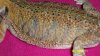 100_1085.jpg