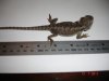 DSC05206.jpg