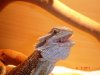 DSC05621.JPG
