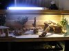 DSC02700.JPG