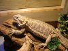 DSC02702.JPG