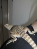 IMG_0209_picnik.jpg