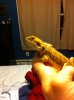 Picture 035.jpg