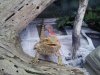 20120227_160530.jpg    123.jpg