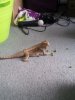 20120227_181125 12.jpg