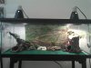 20galsetup.jpg