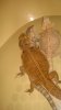 WP_20140822_007.jpg