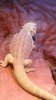 WP_20140822_010.jpg