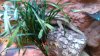 WP_20141009_001.jpg