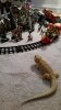 20141205_092229.jpg