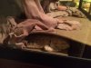 ImageUploadedByTapatalk1420174606.021568.jpg