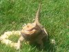 20140624_150601.jpg
