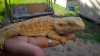 WP_20150613_017.jpg