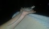 20150826_202333.jpg