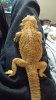 20151210_150311.jpg