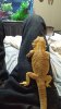 20151210_150322.jpg