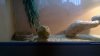 WP_20160112_11_54_12_Pro.jpg