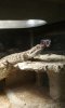 20160117_183227.jpg