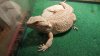 20160123_150831.jpg