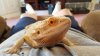 20160126_144346.jpg