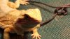 20160216_221513.jpg