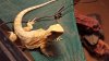 20160216_221501.jpg