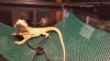20160216_221454.jpg