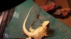 20160216_221439.jpg