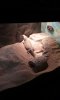 20160229_080846.jpg