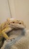 20160301_092147.jpg