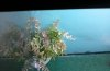 20160301_202810.jpg