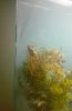 20160314_182113.jpg