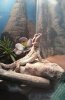 20160321_195403.jpg