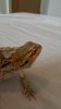 20160401_135128.jpg