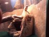 20160421_200752.jpg
