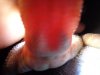 DSC00353-min[1].JPG