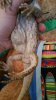 20160326_075806.jpg