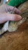 20160326_075755.jpg