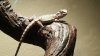 20160518_212940.jpg