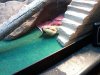 20160526_063238.jpg