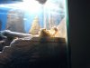 20160530_143552.jpg