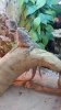 20160528_151336.jpg