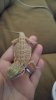 20160605_181625.jpg