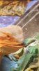 20160614_170159.jpg 20160614_170159.jpg