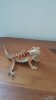 20160708_130055.jpg