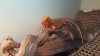 20160811_191942.jpg