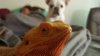 20160729_111945.jpg