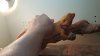 20160812_104938.jpg