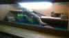 WP_20160905_001.jpg